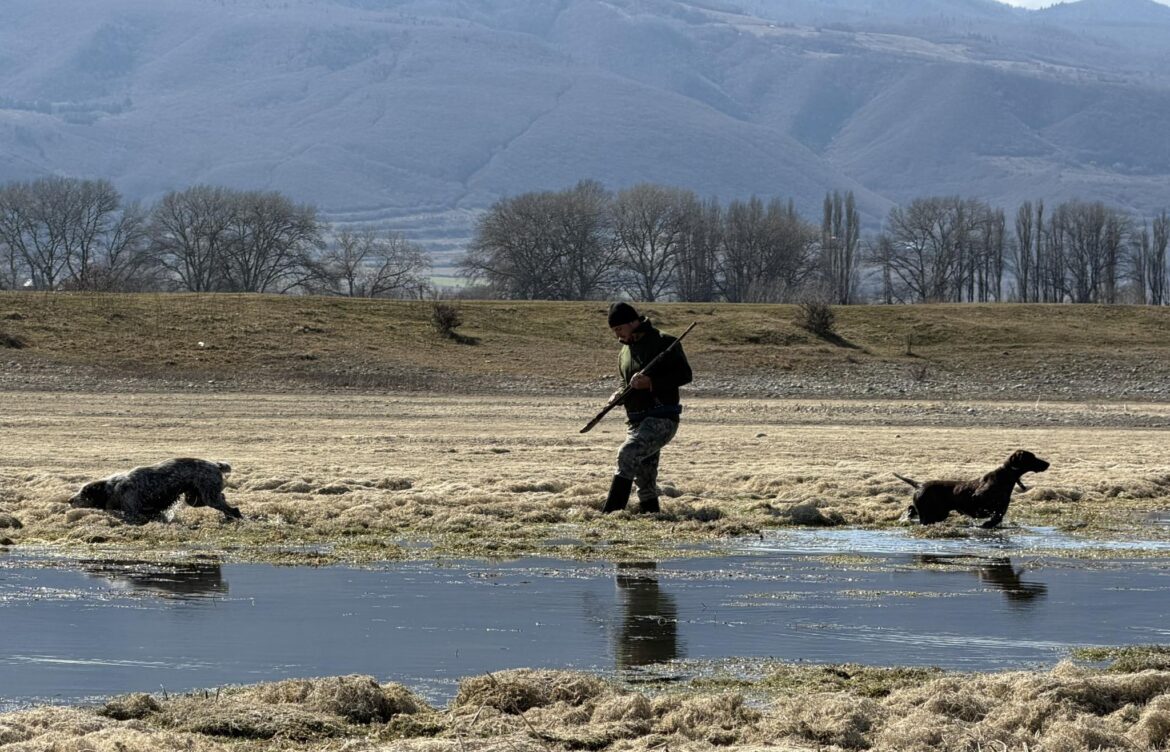 24-საათიანი გაძლიერებული კონტროლი განხორციელდება