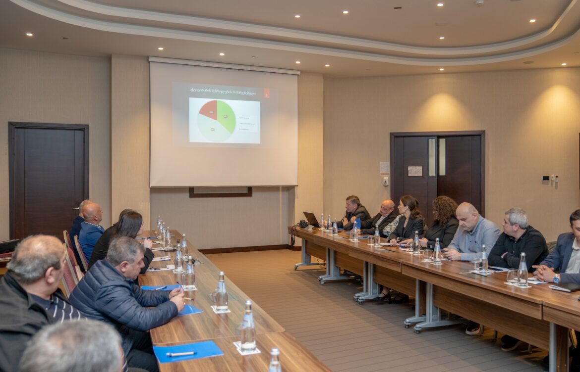 მიმდინარე სამოქმედო გეგმის შედეგებსა და გამოწვევებზე იმსჯელეს