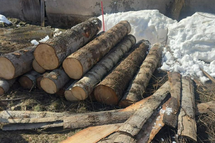 აჭარაში უკანონო ტყითსარგებლობის ფაქტი გამოვლინდა