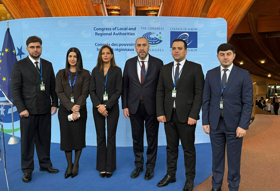 საქართველოს დელეგაცია სტრასბურგის პლენარულ სესიაზე