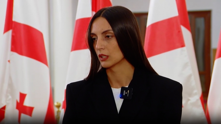 ვიკა ფილფანის მწვავე განცხადება – პარლამენტში