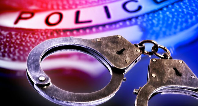 დაკავებული თურქეთის 2 მოქალაქის მიმართ საექსტრადიციო პროცედურები მიმდინარეობს