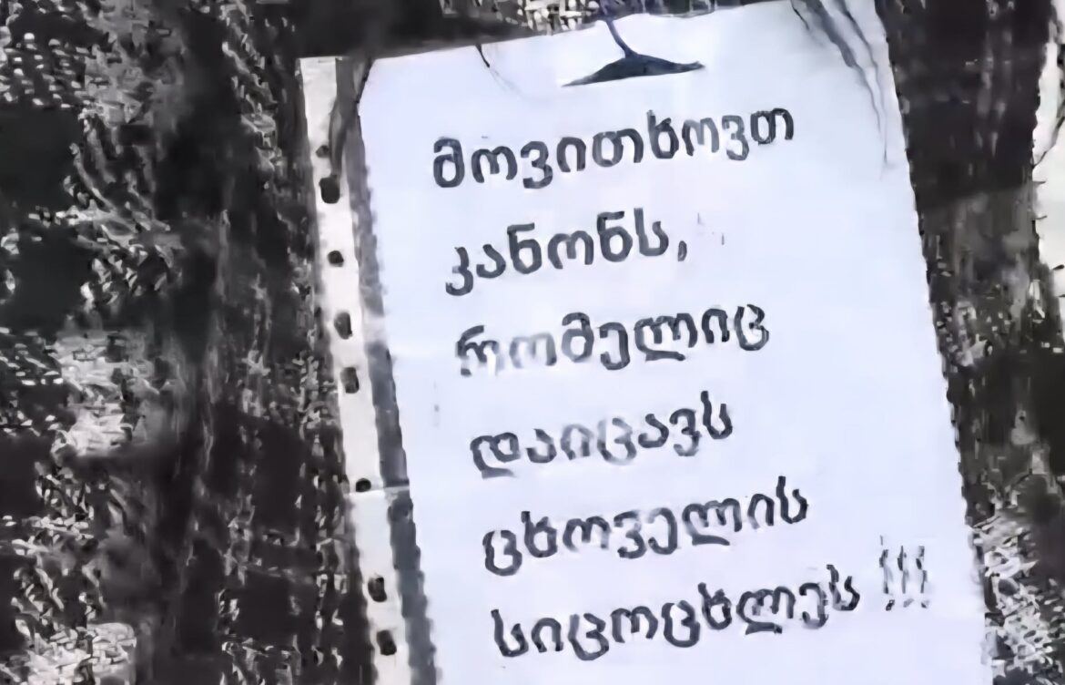 ცხოველთა უფლებადამცველებმა საკანონმდებლო ცვლილებები მოითხოვეს