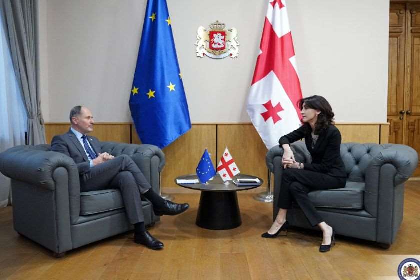 მაკა ბოჭორიშვილი საქართველოში ევროკავშირის ელჩს ხვდება