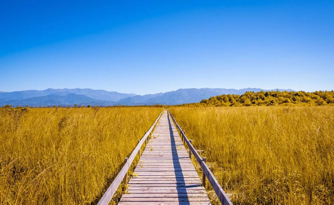 დეპარტამენტი გიდებს გადაამზადებს