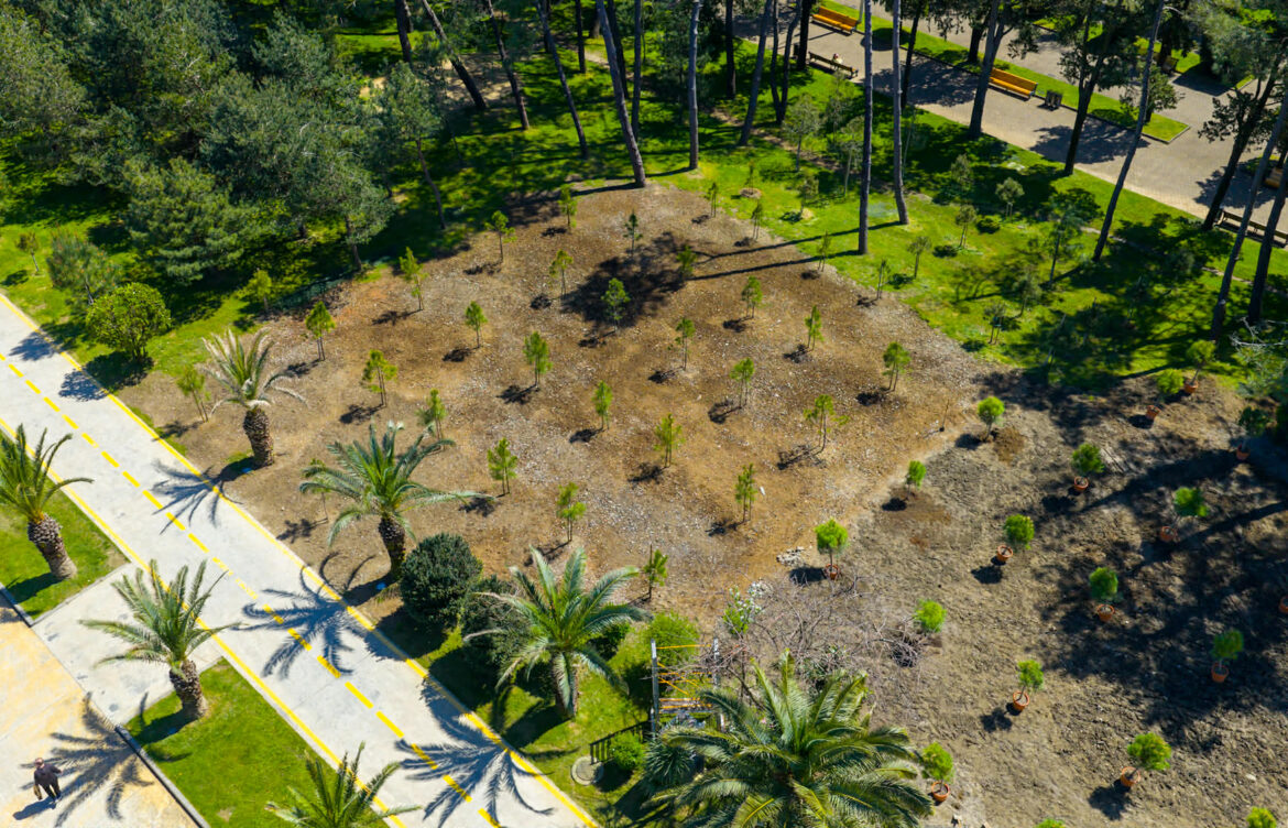 ძველ ბულვარში, სადაც ობიექტების დემონტაჟი განხორციელდა, გამწვანების სამუშაოები აქტიურად მიმდინარეობს