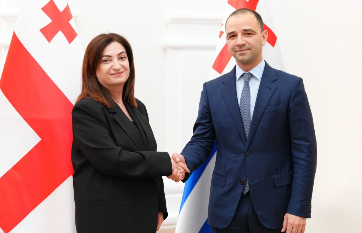 გიორგი ცინცაძე სომხეთის რესპუბლიკის გენერალურ კონსულს ბათუმში ნარინე მათოსიანს შეხვდა