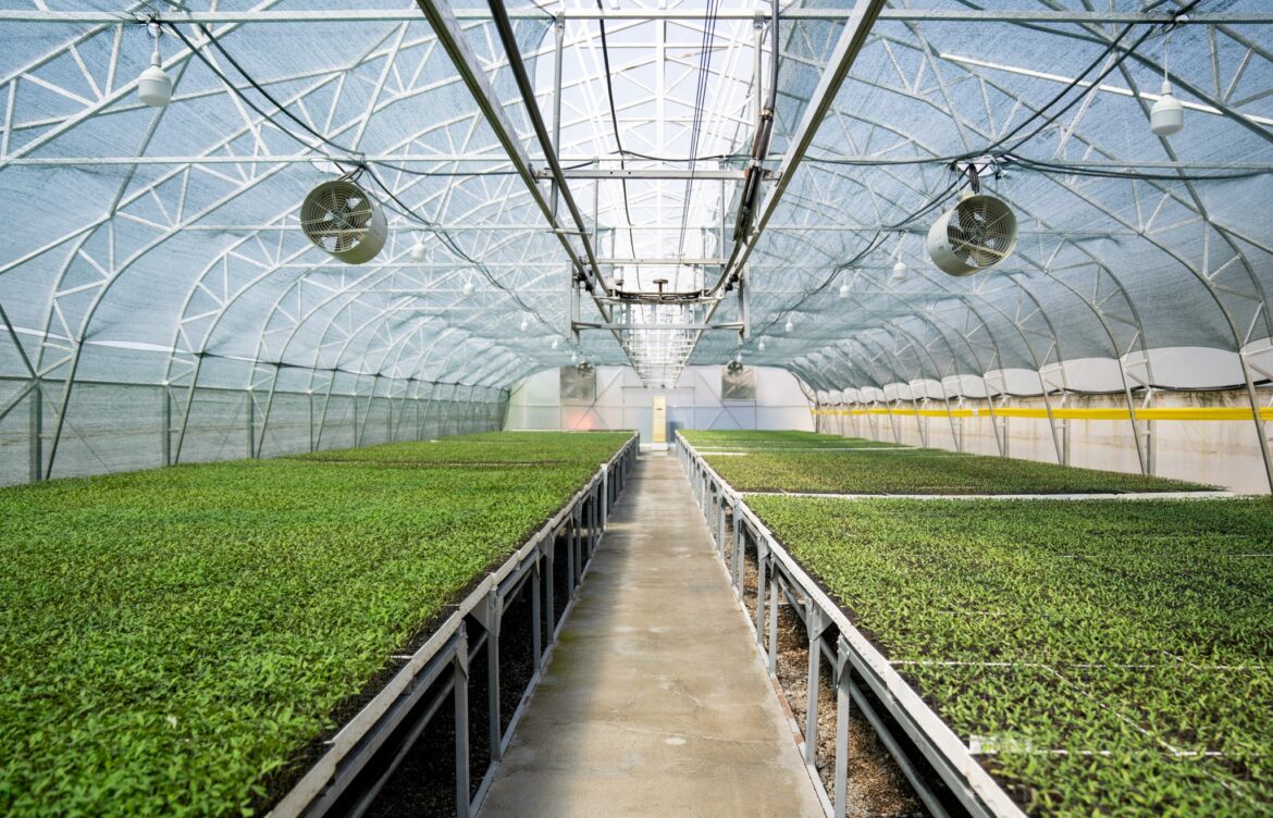 მინისტრმა საჩითილე მეურნეობა მოინახულა