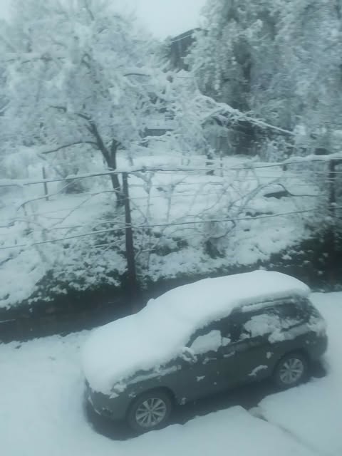 თოვლი – აპრილის ბოლოს