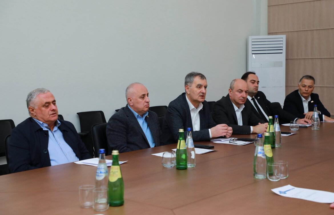 „ხალხის ძალა” მომავალი არჩევნებისთვის მზადებას იწყებს