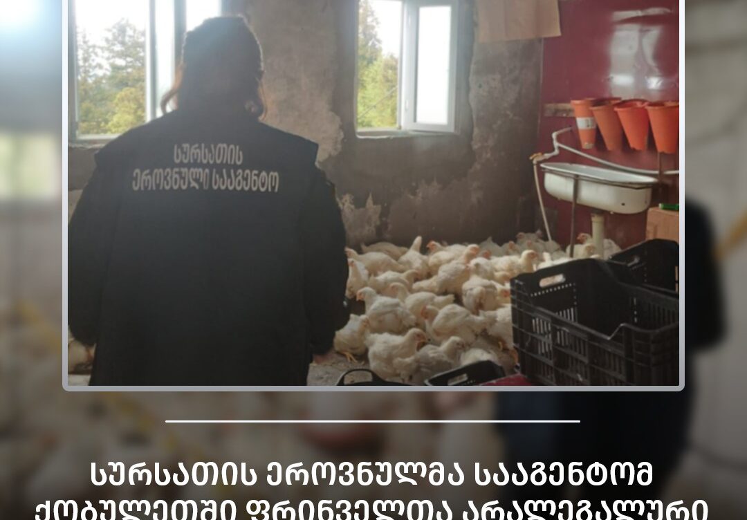 ფრინველთა არალეგალურ სასაკლაოში კრიტიკული შეუსაბამობები აღმოაჩინეს