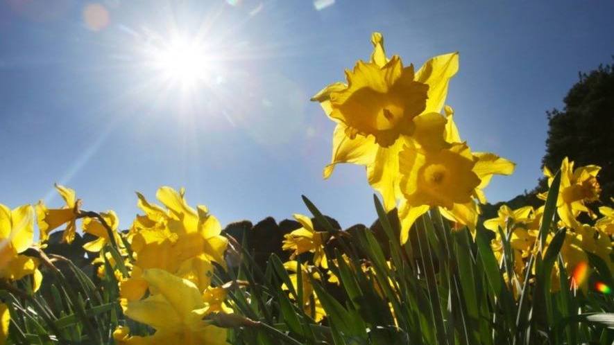 უახლოეს დღეებში საქართველოში უნალექო ამინდია მოსალოდნელი