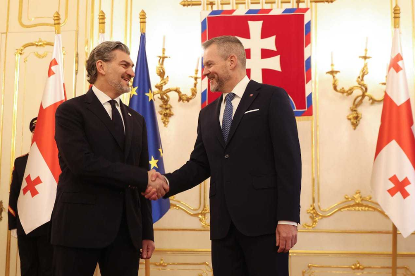 მიხეილ ყაველაშვილი სლოვაკეთის რესპუბლიკის პრეზიდენტს შეხვდა