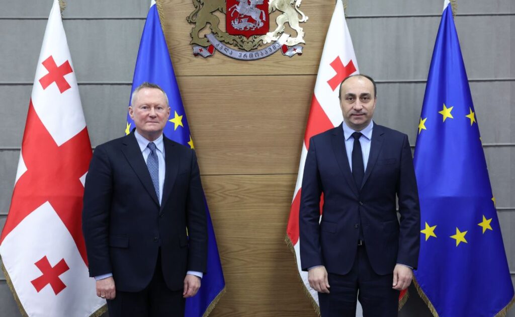 გეკა გელაძე ევროპის საბჭოს ადამიანის უფლებათა კომისარს შეხვდა