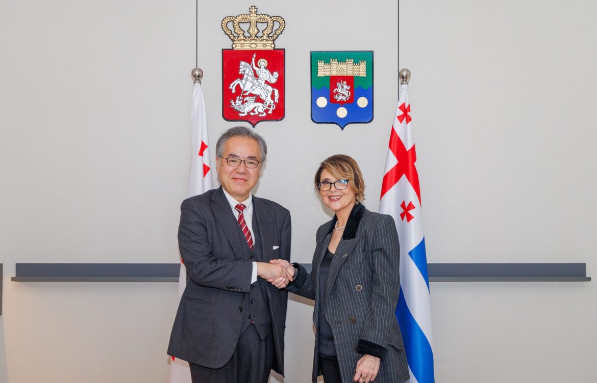 ელისო ბოლქვაძე იაპონიის ელჩს შეხვდა