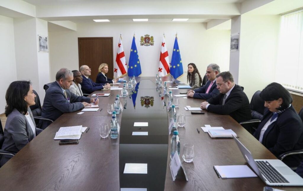 ჯანდაცვის მინისტრი მსოფლიო ბანკის წარმომადგენელს შეხვდა