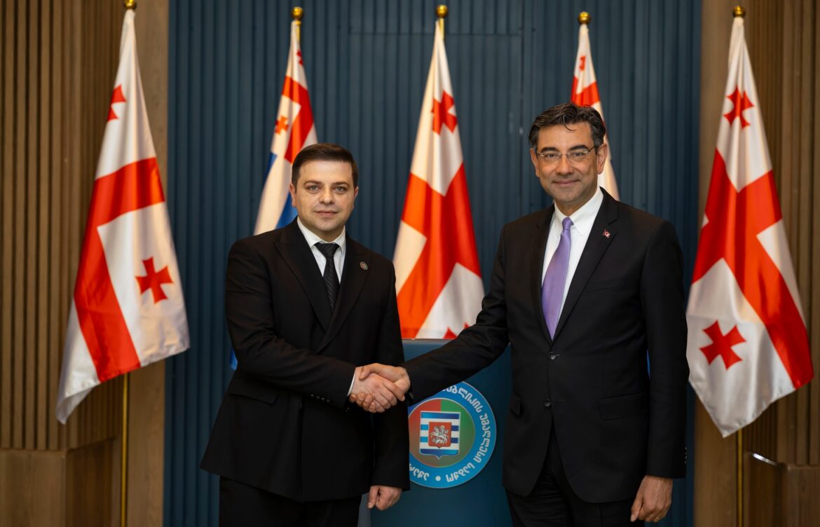 ცოტნე ანანიძემ ელჩს  დიპლომატიური მისიის დაწყება მიულოცა  