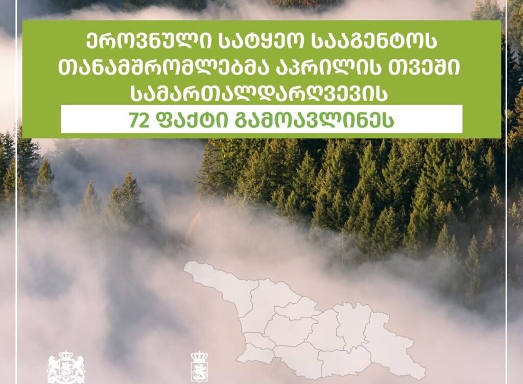 უკანონოდ მოპოვებული საშეშე და სამასალე მერქანი „საქმიან ეზოებში“ დასაწყობდა