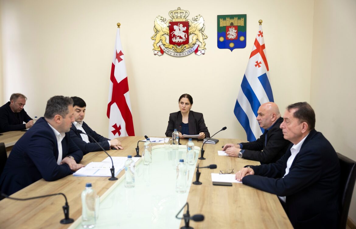 კომიტეტმა მინისტრის ანგარიში პლენარული სხდომისთვის მომზადებულად მიიჩნია