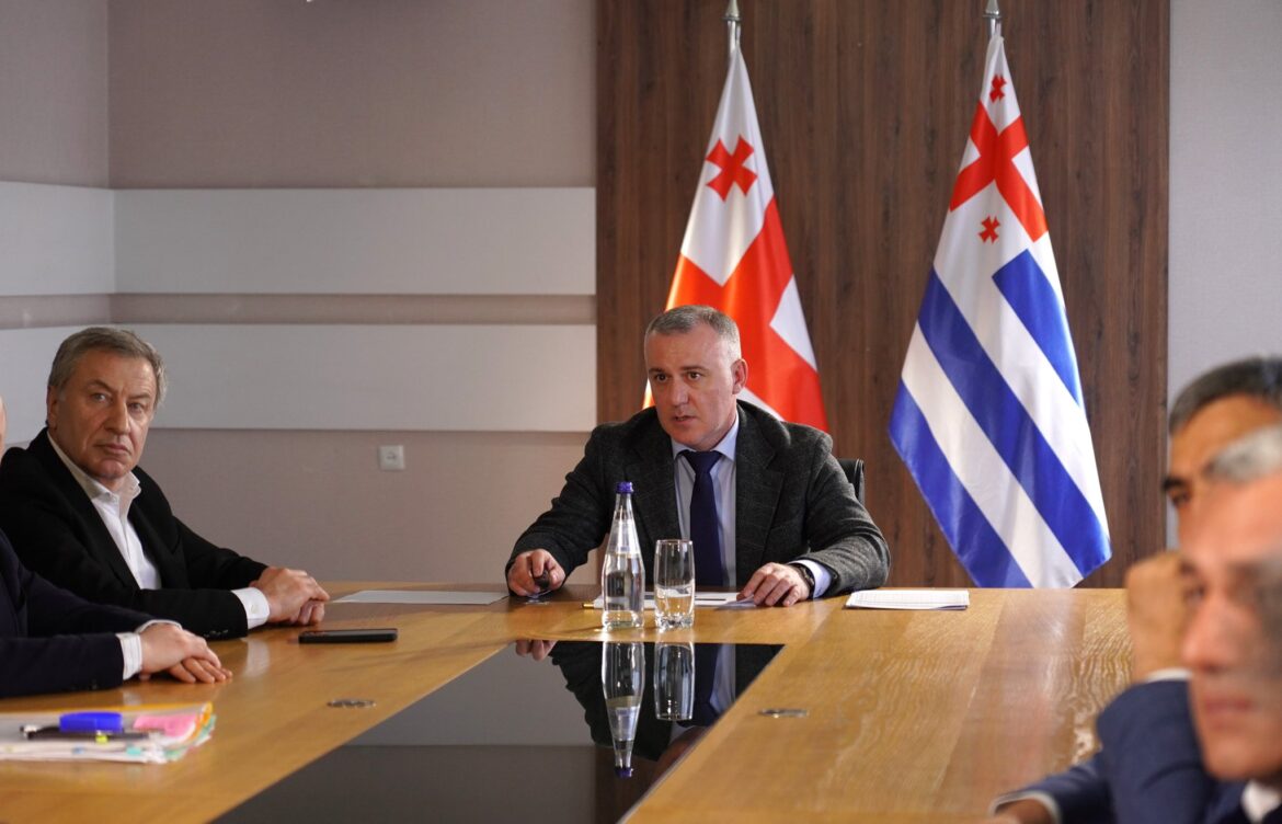 არჩილ სირაბიძემ სამინისტროს 4-წლიან სამოქმედო გეგმაზე ისაუბრა