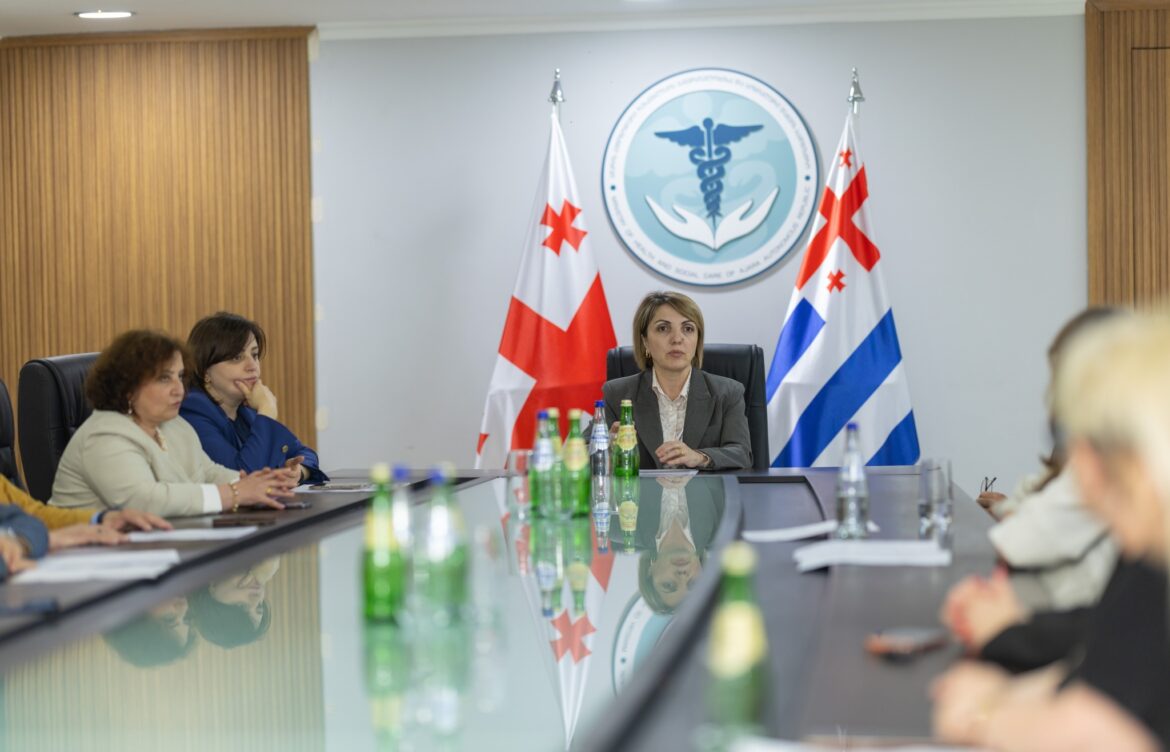 2027-2030 წლების საშუალოვადიანი პრიორიტეტები გაცნეს