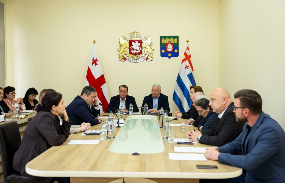 ნინო ნიჟარაძე: სამინისტრო 40-მდე პროგრამას ახორციელებს, რომელთა მიზანი რეგიონის მოსახლეობის მაქსიმალური მხარდაჭერა და სამედიცინო სერვისებზე ხელმისაწვდომობის გაზრდაა