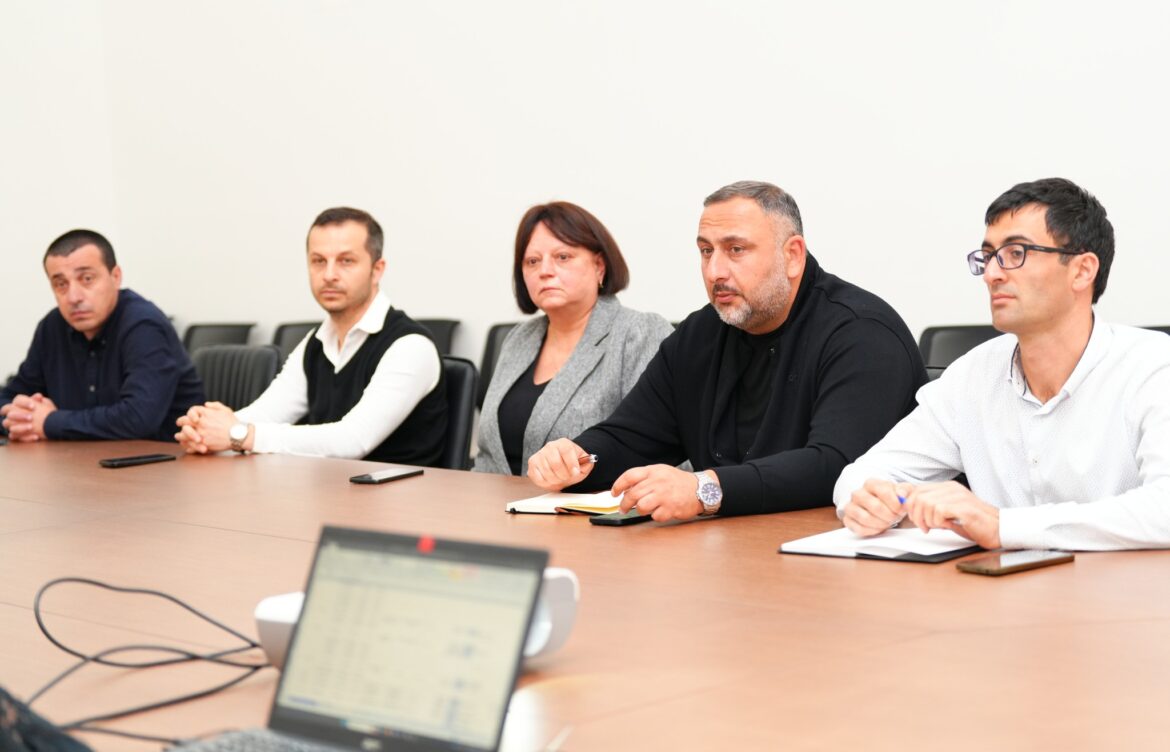 დოკუმენტაციის ეტაპობრივი შესწავლა დაიწყო