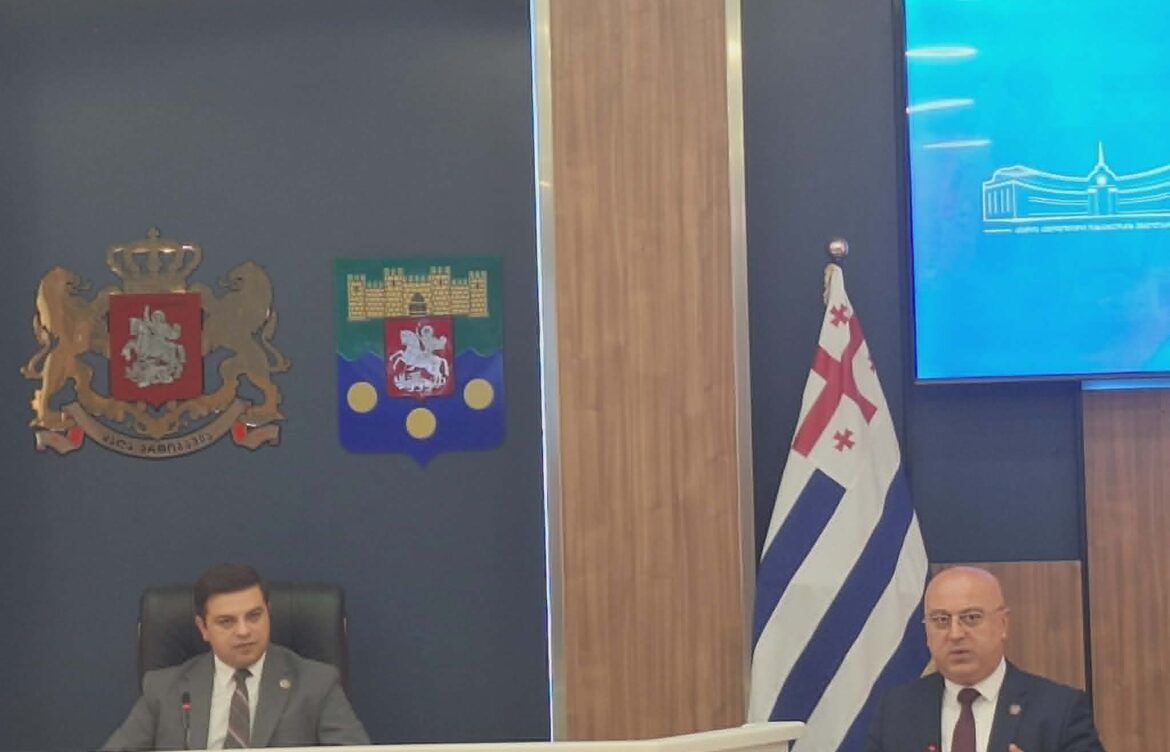 დავით გაბაიძეს უფლებამოსილება ვადამდე ადრე შეუწყდა