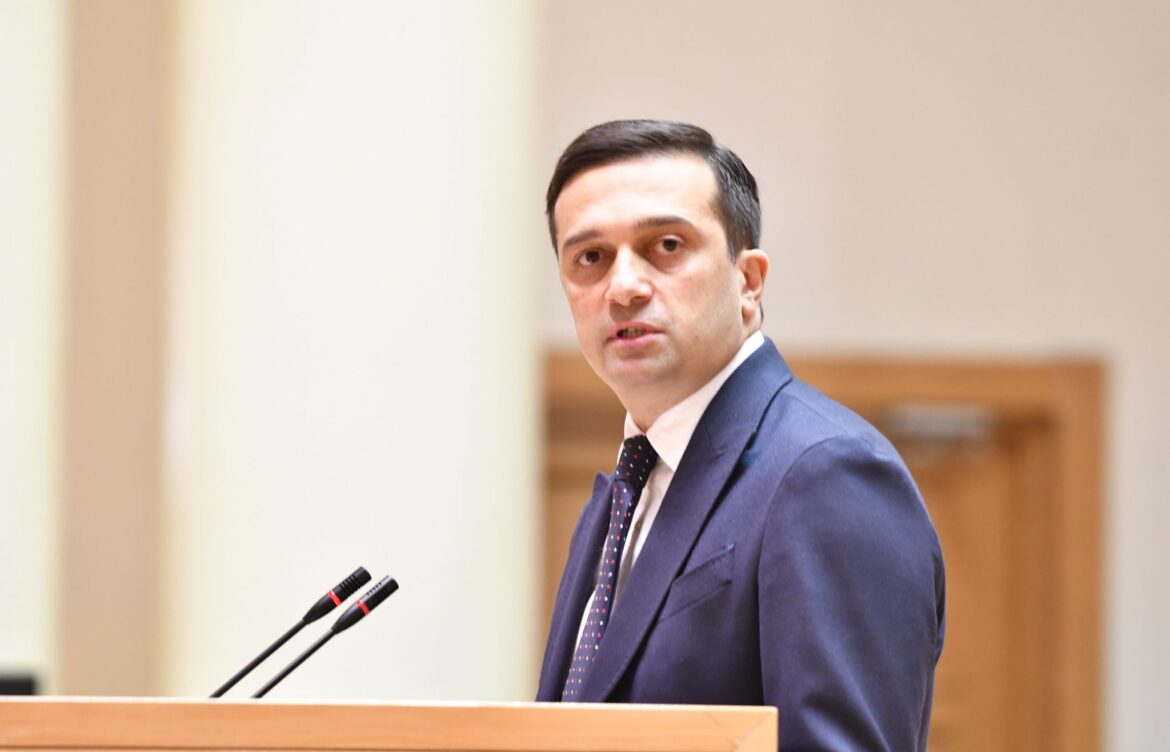 ლევან იოსელიანი: სადავო ნორმები ბუნდოვანია და ეწინააღმდეგება შეკრებისა და გამოხატვის თავისუფლებას