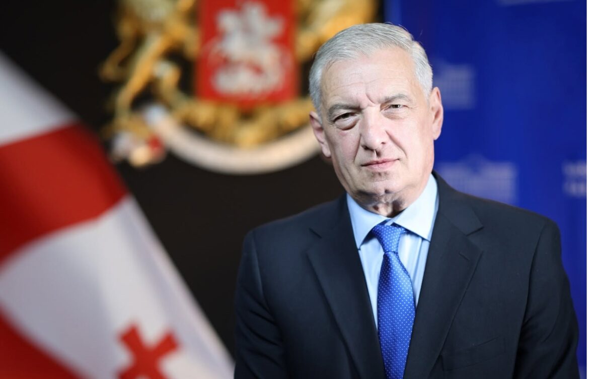  გიორგი ვოლსკი – „ნაცმოძრაობას“ არსი არ იცვლება