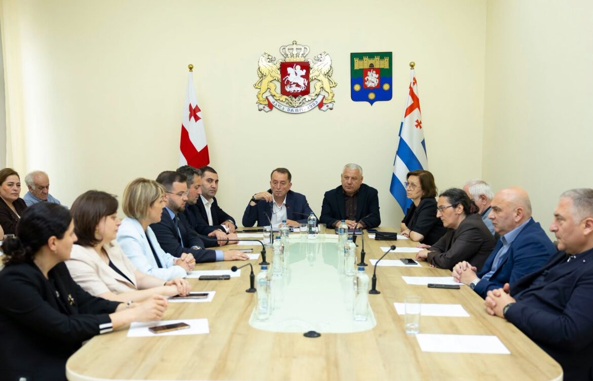 გაერთიანებულ სხდომაზე პრიორიტეტების დოკუმენტი განიხილეს