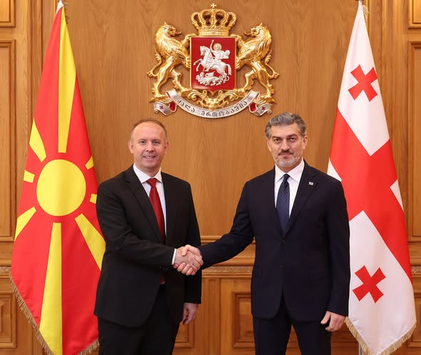 მიხეილ ყაველაშვილი ჩრდილოეთ მაკედონიის რესპუბლიკის ასამბლეის პრეზიდენტს შეხვდა