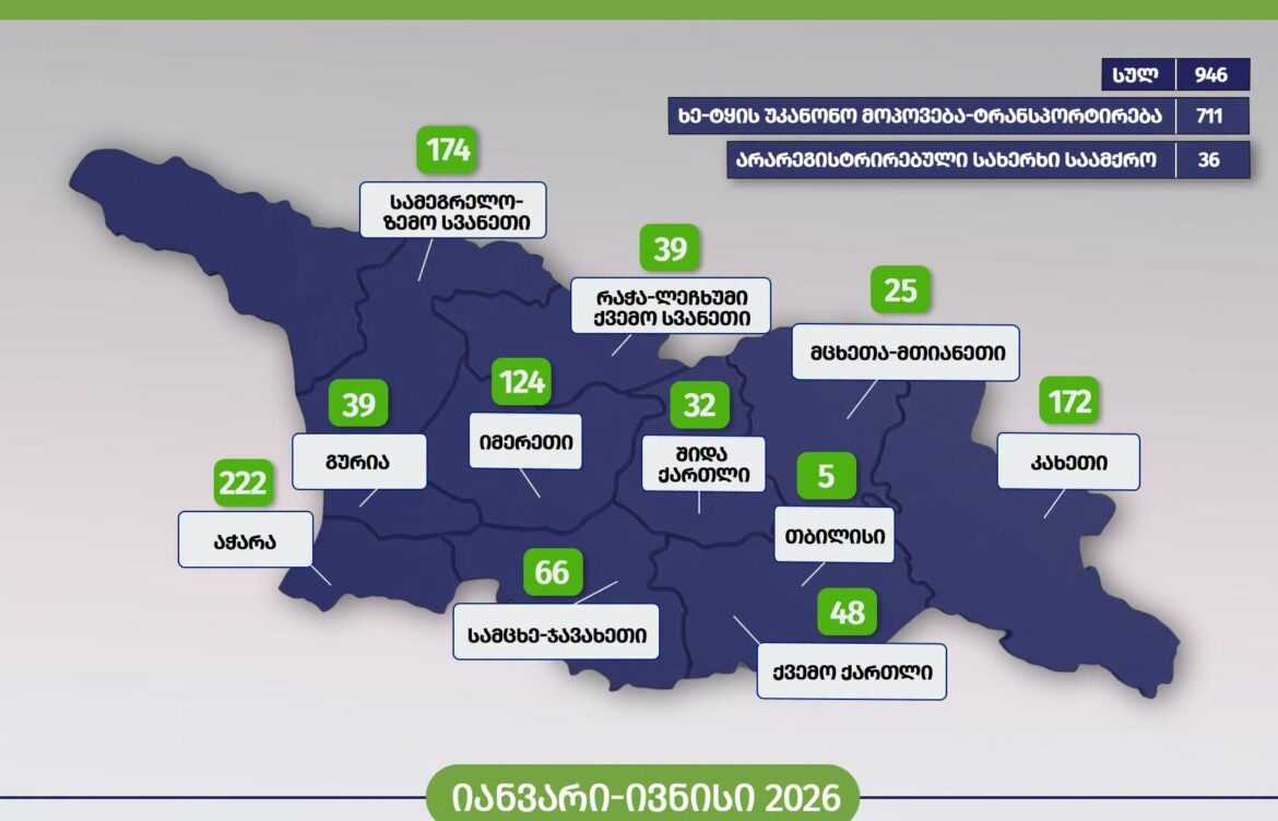 აჭარაში უკანონო ტყითსარგებლობის ფაქტები გამოვლინდა