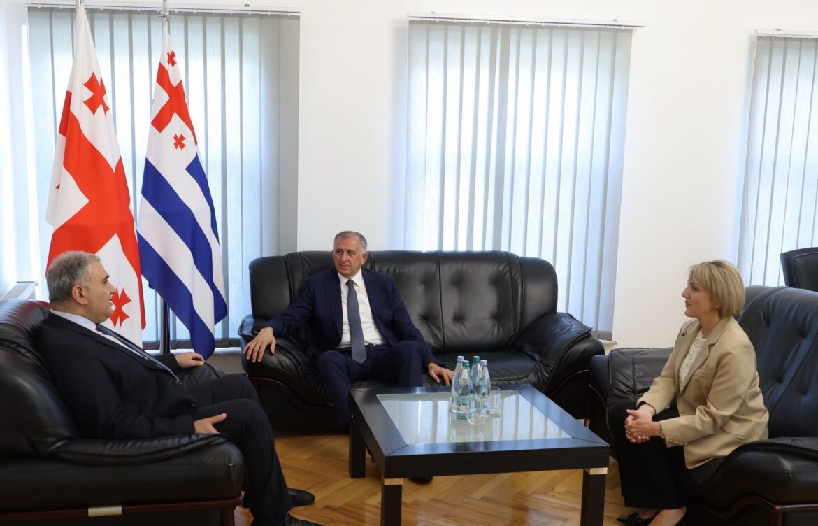 სამედიცინო სერვისებზე ხელმისაწვდომობის გაზრდის საკითხები განიხილეს