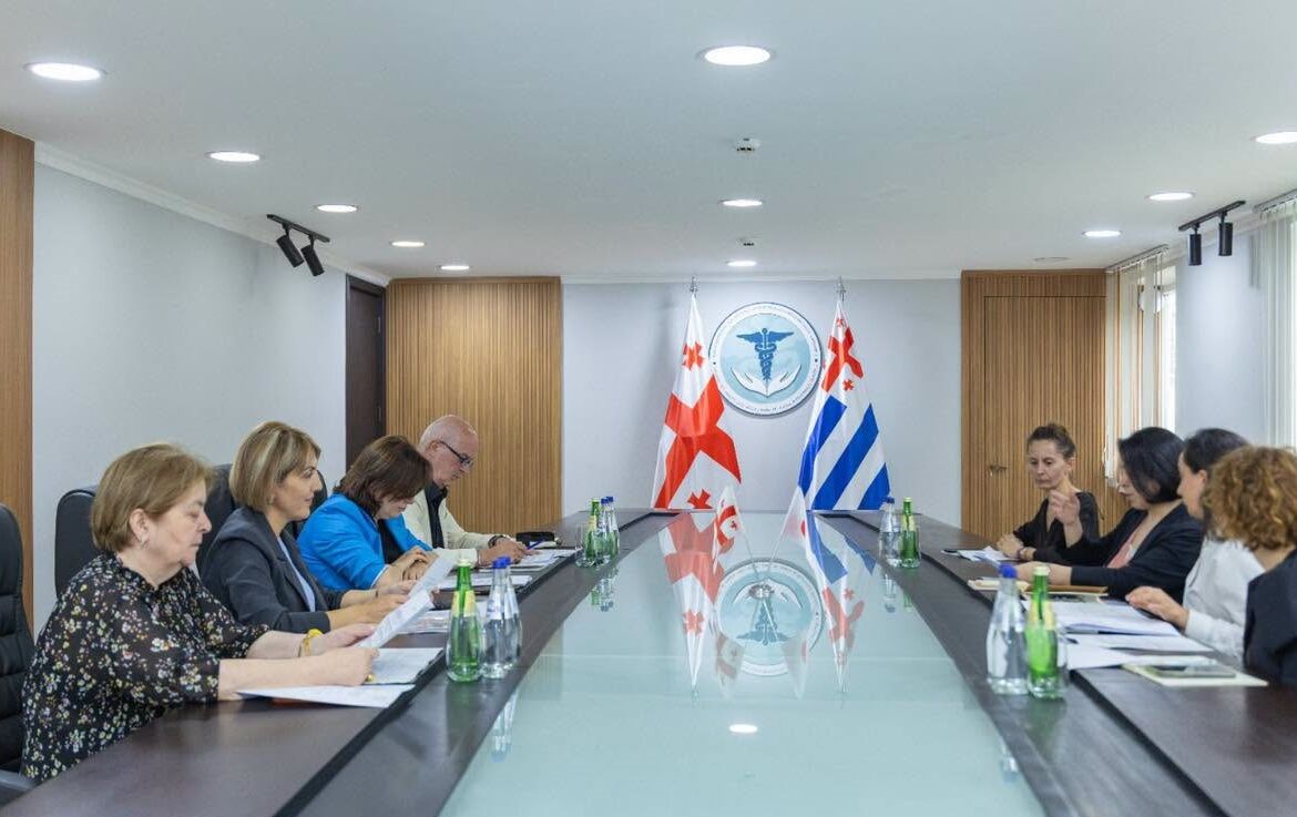 საპილოტე პროექტის შედეგები განიხილეს
