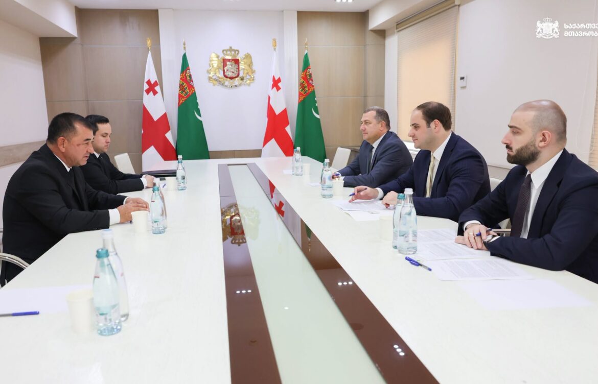 შეხვედრა თურქმენეთის მინისტრთა კაბინეტის თავმჯდომარის მოადგილეებთან
