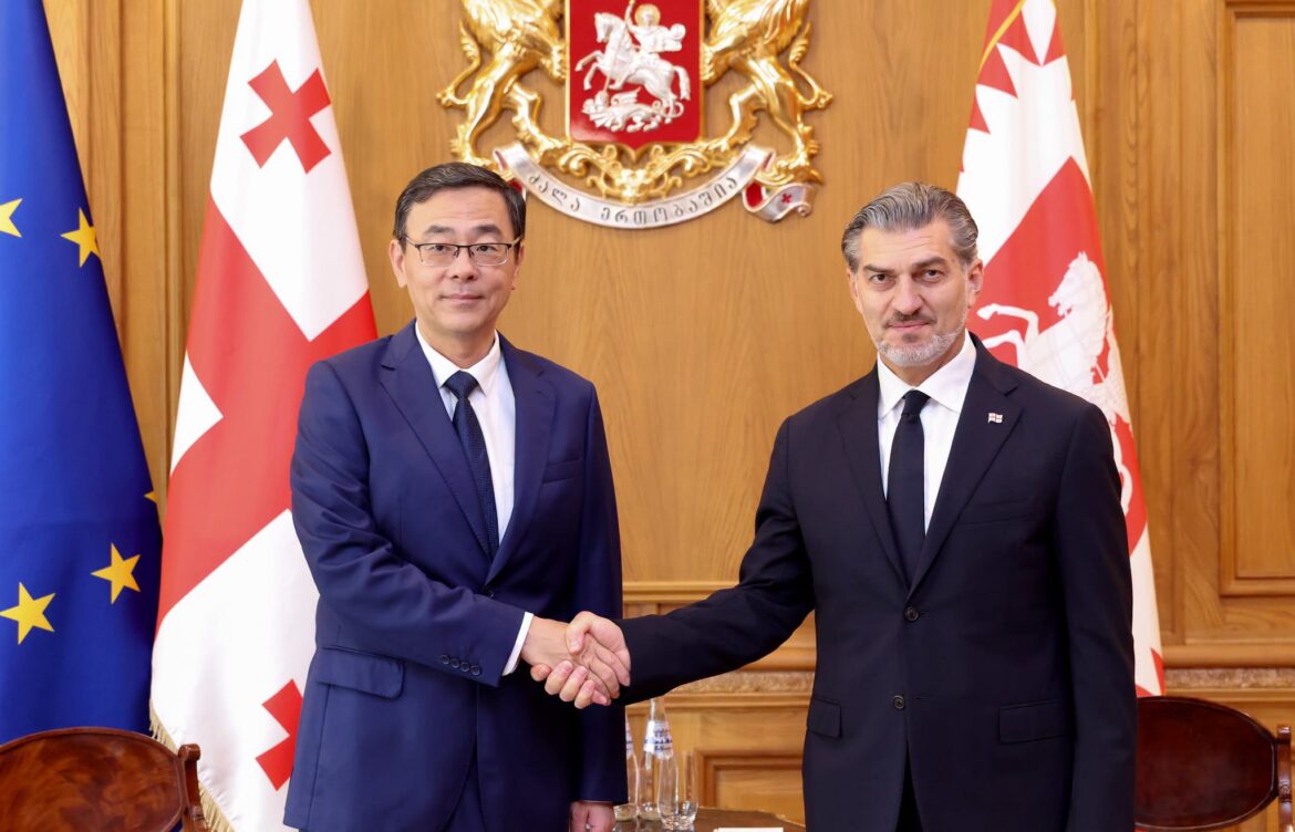 მიხეილ ყაველაშვილი – ჩვენ არავის ვესხმით თავს, ჩვენთვის მთავარია ჩვენი ქვეყნის ინტერესები
