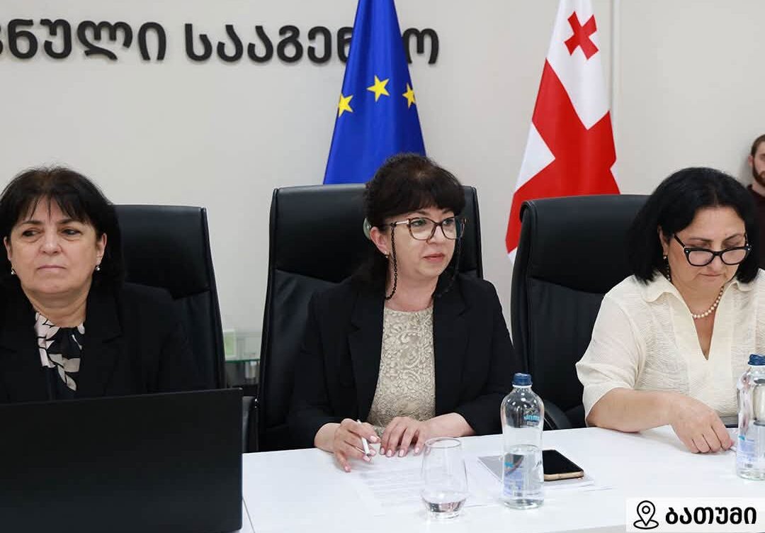 სამუშაო შეხვედრა – ბათუმში