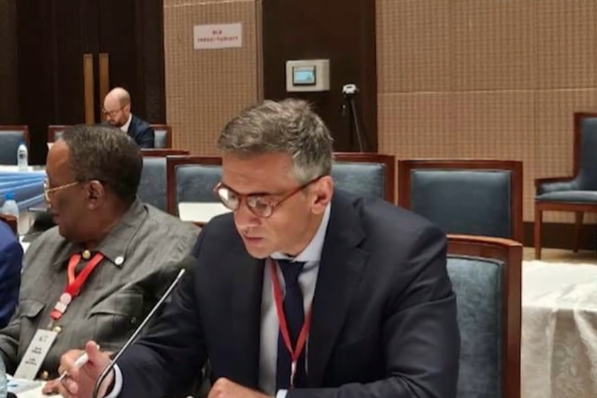 გიორგი კახიანი კამერუნის რესპუბლიკაში, სესიაზე სიტყვით გამოვიდა