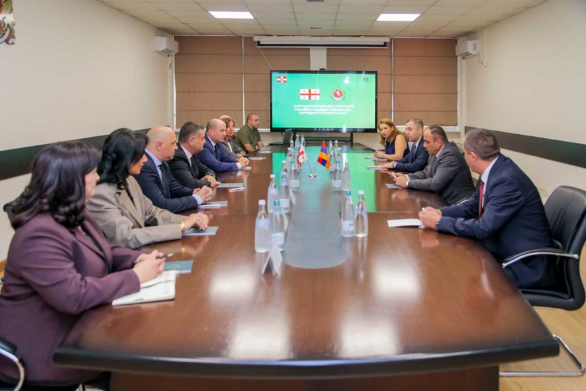 თამაზაშვილი მურადიანს შეხვდა