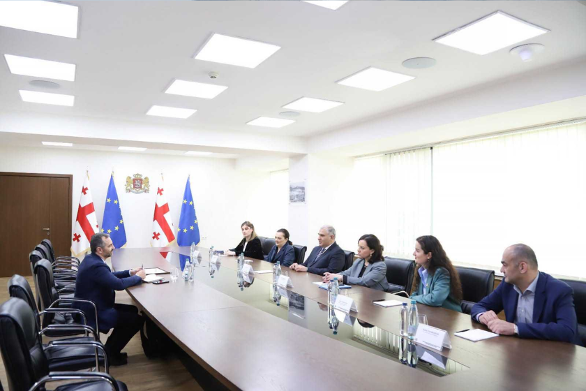 ჯანდაცვის მინისტრი მიხეილ სარჯველაძე სილვიუ დომენტეს შეხვდა