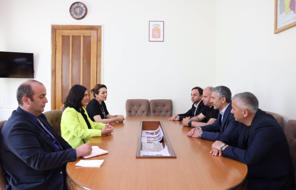 შეხვედრა თურქეთის რესპუბლიკის გენერალურ კონსულთან
