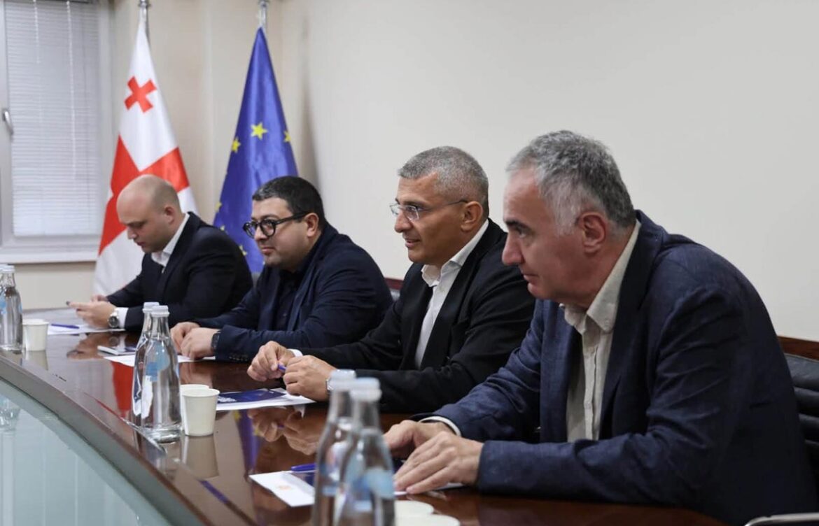 მამუკა მდინარაძემ სახელმწიფო რწმუნებულებთან შეხვედრები დაასრულა