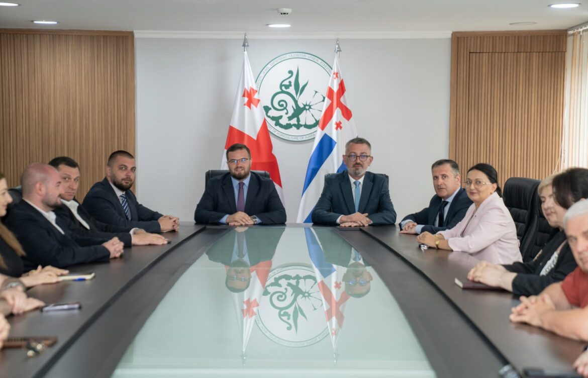 მინისტრმა ახალი მოადგილე წარადგინა