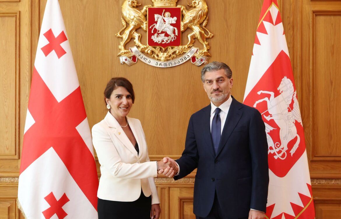 მიხეილ ყაველაშვილი მექსიკის შეერთებულ შტატებში საქართველოს  ელჩს შეხვდა