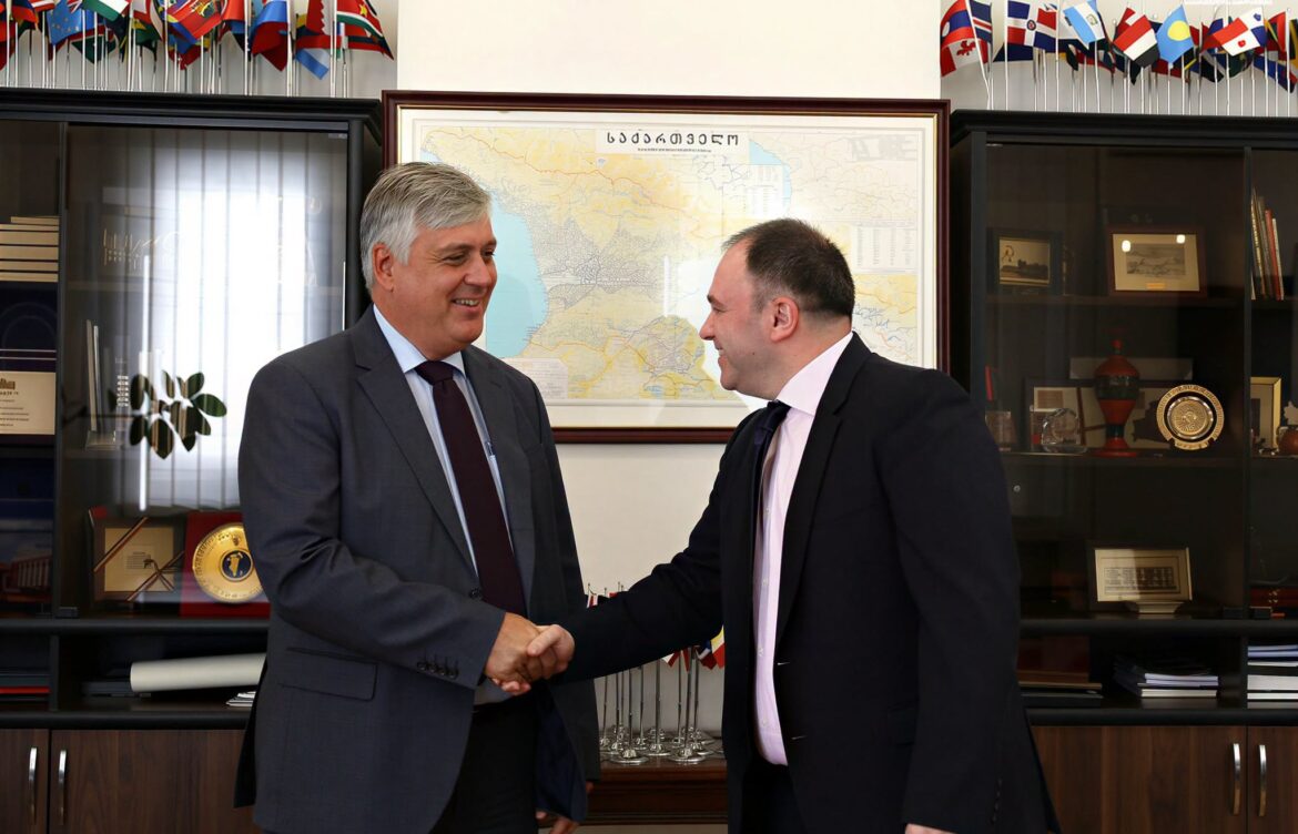 ნიკოლოზ  სამხარაძე  ავსტრიის რესპუბლიკის საგანგებო და სრულუფლებიან ელჩს შეხვდა