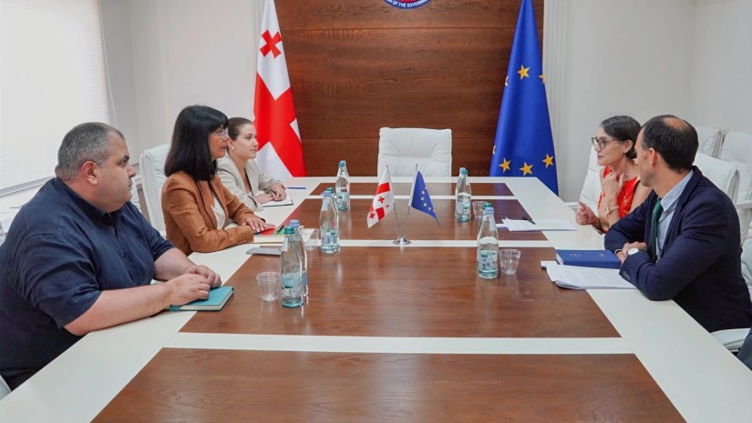 მხარეებმა განიხილეს თანამშრომლობის ძირითადი მიმართულებები