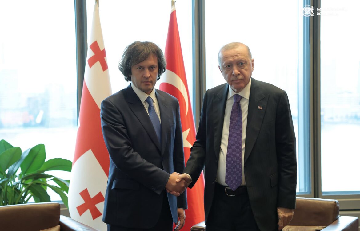 პრემიერი თურქეთის რესპუბლიკის პრეზიდენტ რეჯეფ თაიფ ერდოღანს შეხვდა