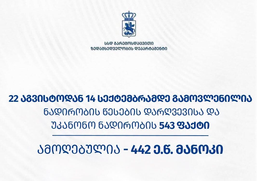 ქვეყნის მასშტაბით 543 სამართალდარღვევა გამოავლინეს