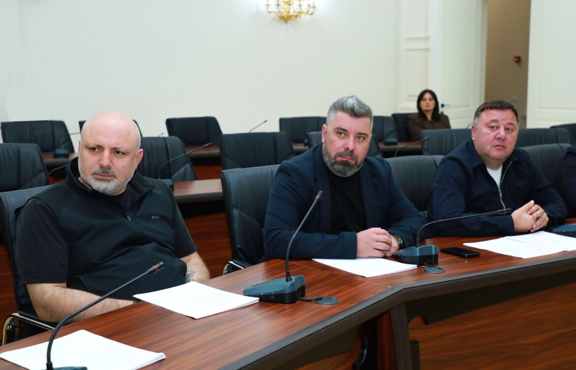 პროექტი, რომელიც ქალაქის საზოგადოებრივ სივრცეში მემორიალური ობიექტების განთავსების ერთიანი წესის ჩამოყალიბებას შეუწყობს ხელს